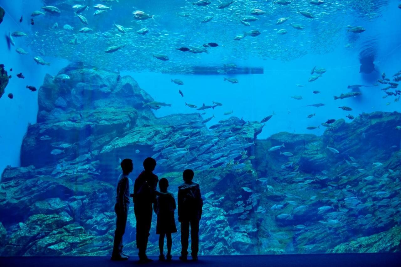 Active Resorts Miyagi Zao Dış mekan fotoğraf